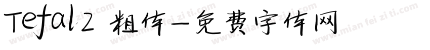Tefal2 粗体字体转换